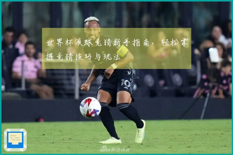 世界杯滚球竞猜新手指南，轻松掌握竞猜技巧与玩法