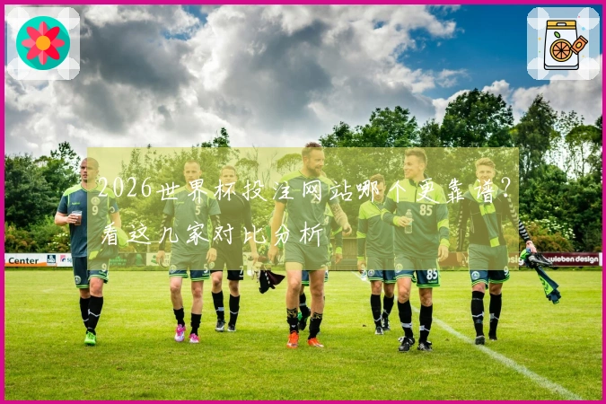 2026世界杯投注网站哪个更靠谱？看这几家对比分析