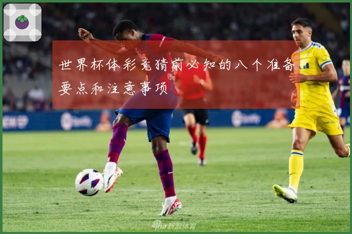 世界杯体彩竞猜前必知的八个准备要点和注意事项